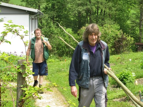 Zwei Männer tragen Weidenäste einen Pfad entlang